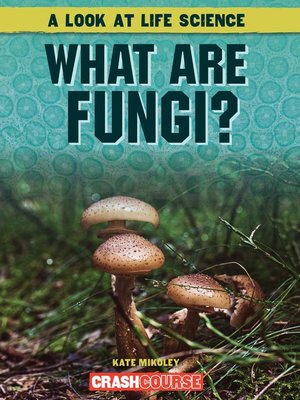 cover image of What Are Fungi?
